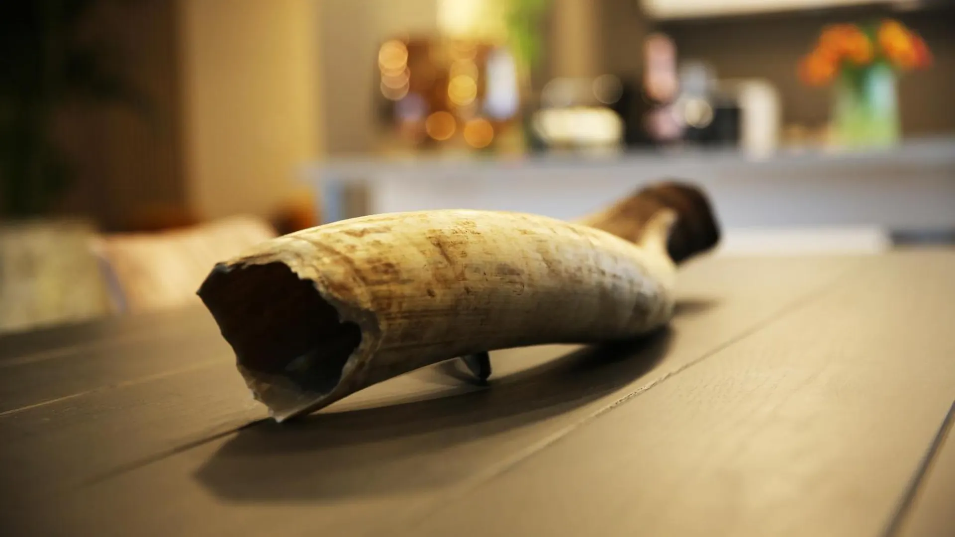 L'Appart Baobab, Avec Sauna Liege Apartment